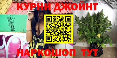 бошки Будённовск